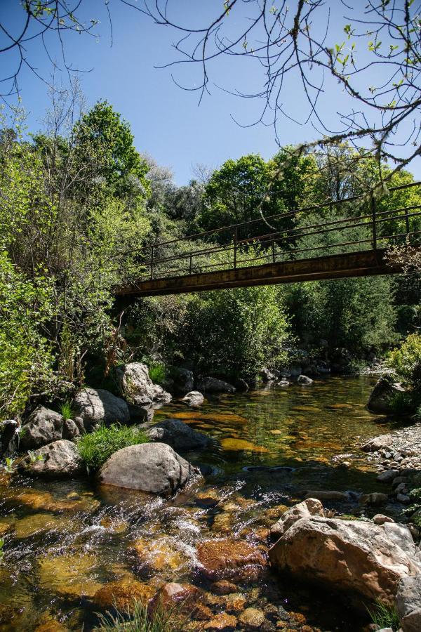 Maria Da Vinha - Country House Góis Εξωτερικό φωτογραφία
